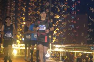 BIB: 1995, 40370, 407, 41953
                            <button type="button" onclick="openModal(18283872)" class="btn btn-primary btn-sm float-right btn-popup" data-toggle="modal" data-target=".modal-high-quality">
                        <i class="fas fa-shopping-cart"></i> Add to Cart
                    </button>
                                            <button type="button" onclick="isThisMe(18283872, true)" class="btn btn-success btn-sm float-right btn-popup btn-isme hidden" data-toggle="tooltip" data-placement="bottom" title="นี่คือรูปของคุณใช่ไหม คลิกที่นี่เพื่อเอาเข้าอัลบั้ม">
                        <i class="fas fa-plus"></i> Add to album
                    </button>
                    <button type="button" onclick="isThisMe(18283872, false)" class="btn btn-warning btn-sm float-right btn-popup btn-isnotme hidden">
                        <i class="fas fa-ban"></i> Remove from album
                    </button>